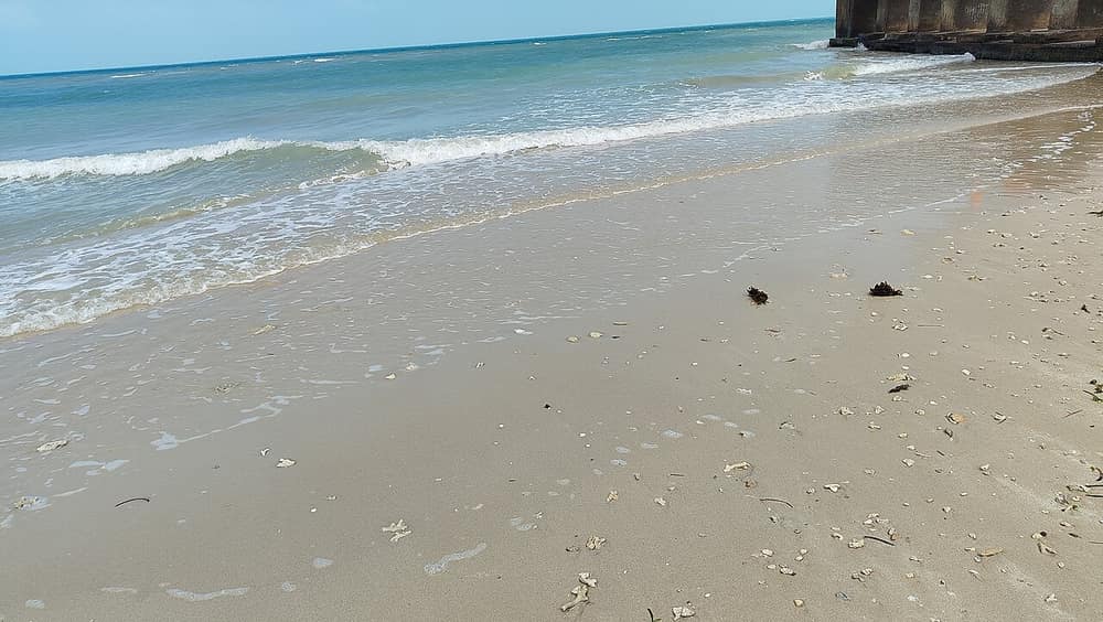 Ramanathaswamy Temple, Rameswaram — view 2