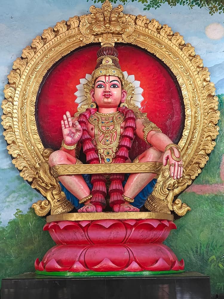 Sabarimala Ayyappa Temple, Sabarimala — view 1